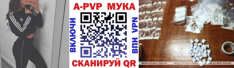 Альфа ПВП СК Починок