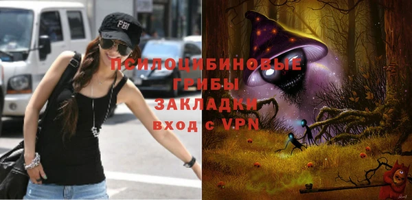 крисы Арсеньев
