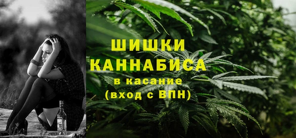 крисы Арсеньев