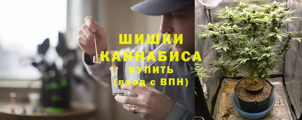 крисы Арсеньев