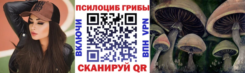 Галлюциногенные грибы мухоморы  как найти   Починок 